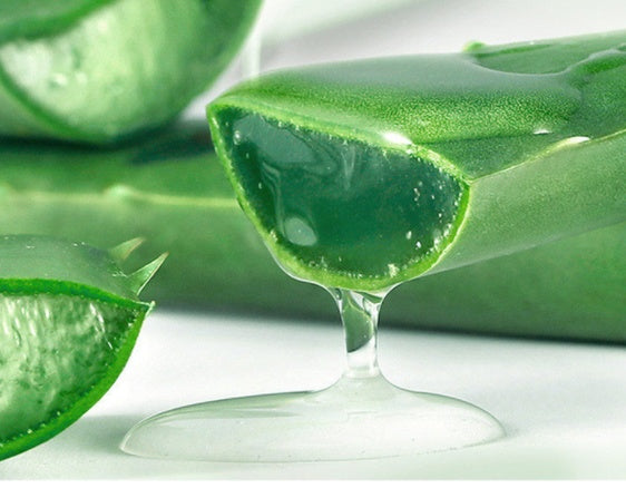 Aloe Gel 
Hautpflege Feuchtigkeitsspendende Gesichtscreme DamnLuxe